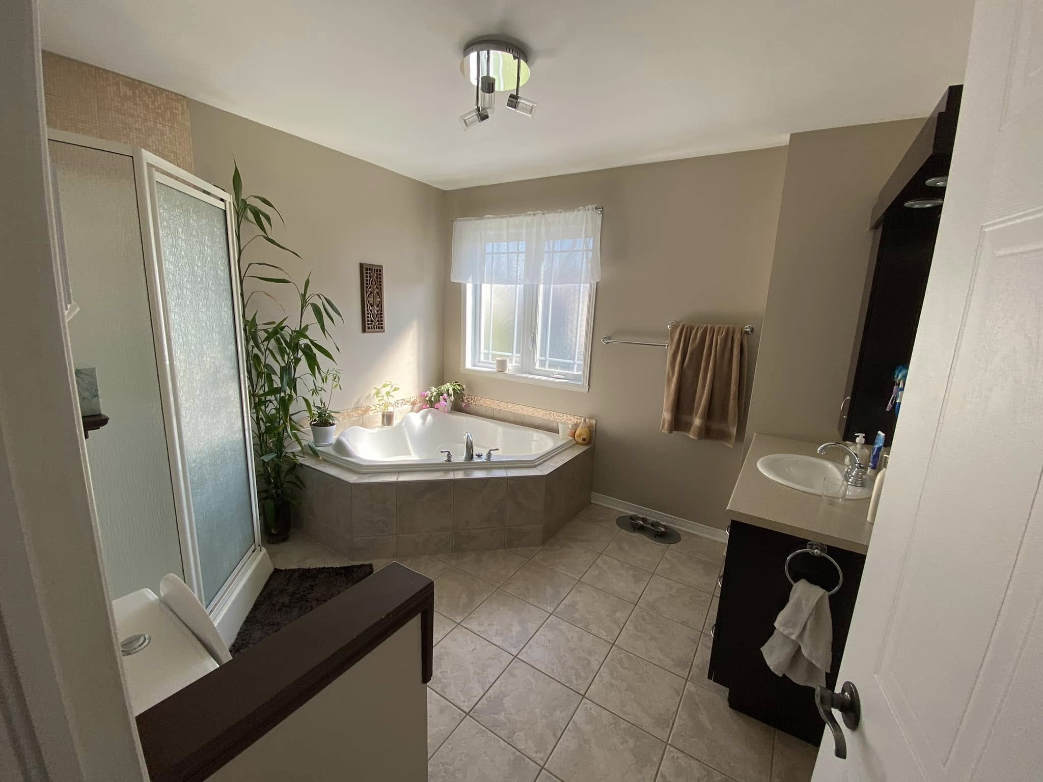 Avant rénovation - État initial du projet